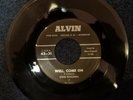 45 RPM Rocker: Steve Kingsmill & The Stereos - Well, Come On - Alvin - Mint-