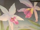 DEODATO - Love Island - Vinyl (gatefold 180 gram audiophile vinyl LP)
