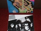 UK SUBS Endangered Species LP 1982 ROADRUNNER 1st Press  A/B  SUPERB