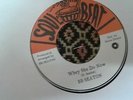 BB Seaton , I Love The Reggae , Whey She Do Now , 7 