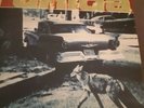 Unida - Coping with the Urban Coyote LP, Vinyl