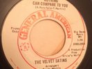 THE VELVET SATINS