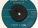 Northern Soul  45    *** The Magnetics *** I Have A Girl ***    Ra- Sel Pressing
