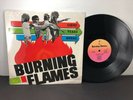 Burning Flames 