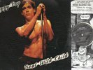    Iggy Pop - Real Wild Child    Clear Vinyl   