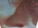 Pink Floyd ? Meddle 1971 [SHVL795] 12