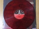 White Stripes - Live At The Gold Dollar III - 12