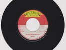 FREEDOM SOUNDS/ BLOOD OF THE WICKED - JAH SON (78 REGGAE ROOTS 7
