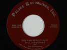 Psych Soul 45 - Christophers - Did Man Really Fly? - Palace - VG+ mp3 - unknown?