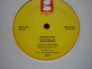 northern soul don gardner cheating kind grapevine uk 45