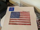 American Lesion - LP vinyl record  Greg Graffin Bad Religion OOP in shrink