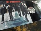 The Wildhearts ?- Endless Nameless **Original First Press Mushroom LP**