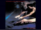 Siouxsie And The Banshees - The Scream VINYL LP  NEW(16THNOV)