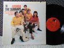 Sunrays ex mono LP Andrea