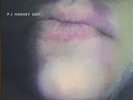 PJ Harvey Dry LP. Brand New.