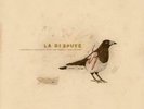 LA DISPUTE: SOMEWHERE AT THE BOTTOM OF THE RIVER BETWEEN  (LP vinyl *BRAND NEW*)