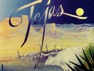 ZZ TOP - Tejas (reissue) - Vinyl (limited trifold purple vinyl LP)