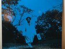 LOU DONALDSON BLUES WALK BLUE NOTE BN-1593 200 Gram MONO VINYL LP