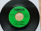 northern soul delreys incorporated destination unknown.  us tampete