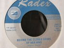 psych rock 45 THE FROST behind the closed doors of my mind RADEX listen