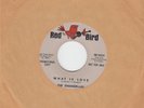 The Shangri-Las - Leader Of The Pack / What Is Love - Red Bird Promo 45 rpm 7