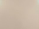 BEATLES WHITE ALBUM MONO NEAR MINT AUDIOPHILE 180 GRAM VINYL LP POSTER PHOTOS