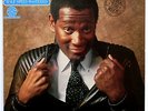 Half Speed  LP  LUTHER VANDROSS  Never To Much  *ULTRASONIC CLEANED*  Audiophile