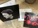DAVID SYLVIAN dead bees on a cake 2xLP 2018 Reissue TOP