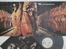 LP/GF EDGAR BROUGHTON BAND Edgar Broughton Band OP80357 ODEON JAPAN Vinyl PROMO