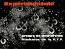 VARIOUS - Musique Experimentale - LP Finders Keepers
