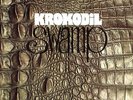 KROKODIL - Swamp - LP Krokodil
