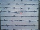 DIES IRAE first Colour Vinyl Foldout Sleeve LP NEU OVP/Sealed