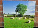 THE KLF - Chill Out, Limited Import CLEAR VINYL LP New