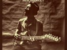 HOUND DOG TAYLOR & THE HOUSEROCKERS, 0014551470113
