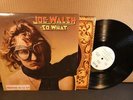 Joe Walsh: So What (stVG++ ABC DSD-50171 PROMO WLP LP) textured inner