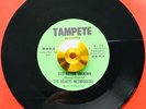 *** THE DELREYS INCORPORATED *** DESTINATION UNKNOWN *EX *NORTHERN SOUL - Carver