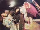 rare THE CRAMPS - 1st UK SIGNED Psychedelic Jungle vg/vg Autogramm Lux + Ivy