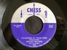 Muddy Waters, Chess 1630, Diamonds At Your Feet & Don't Go No Farther, GREAT