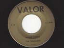 RARE SURF GUITAR INSTRUMENTAL- THE TREASURES- 