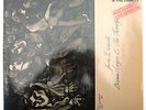 Julie Driscoll Brian Auger & The Trinity - Streetnoise (The Original) Vinyl DoLP