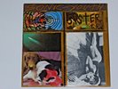 SONIC YOUTH   SISTER    LP ORIGINAL (POST PUNK)   SST  1987  RECORD  VINYL IS M-