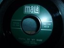 DAVID GATES you'll be my baby / what's this i hear 45 MALA ROCKABILLY 1960