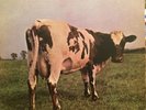 PINK FLOYD Atom Heart Mother LP HARVEST SKAO 382 rare original