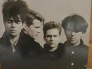 Echo and the Bunnymen The Game Vinyl Signed Autographed