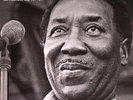 Muddy Waters - Live in San Francisco 1977 - NEW SEALED 180g VINYL