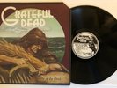 Grateful Dead - Wake Of The Flood - 1971 US 1st Press (NM) Ultrasonic Clean