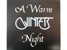 WINTER A WARM WINTER NIGHT 1980 RARE LP PRIVATE CA BAY AREA MOD SOUL FUNK BREAKS