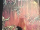 Slayer Hell Awaits Lp - 1st press. Metal Blade/Combat/Important
