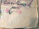Caroliner - Rings on the Awkward Shadow 2 LP experimental DIY Original Pressing