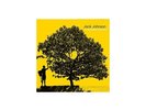 Jack Johnson - In Between Dreams Vinyl LP